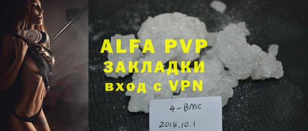 прущие грибы Киренск