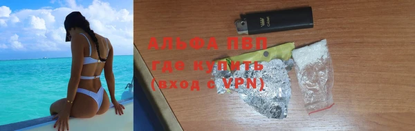 прущие грибы Киренск