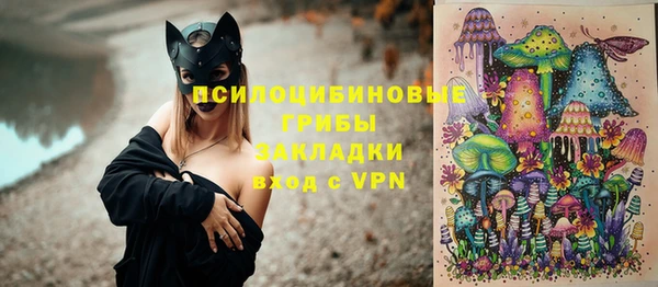 прущие грибы Киренск