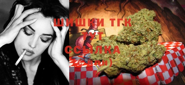 прущие грибы Киренск