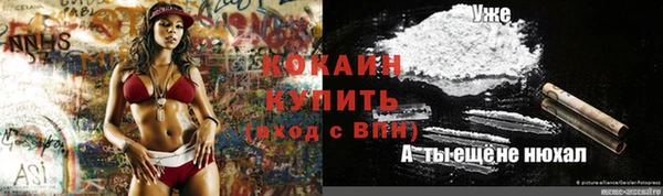 прущие грибы Киреевск
