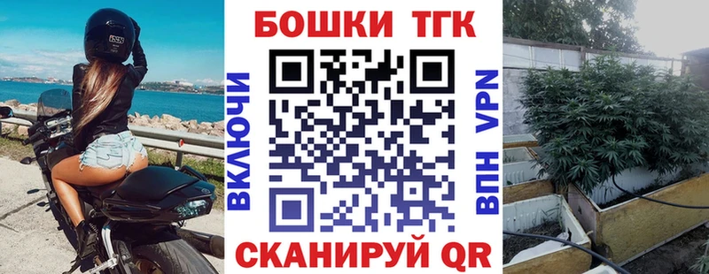 Шишки марихуана марихуана  Купить закладки  Змеиногорск 